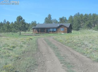 1075 Dwyer Trl, Hartsel, CO 80449