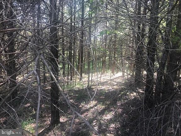 3rd image of 5603 Dogwood Tree Ln