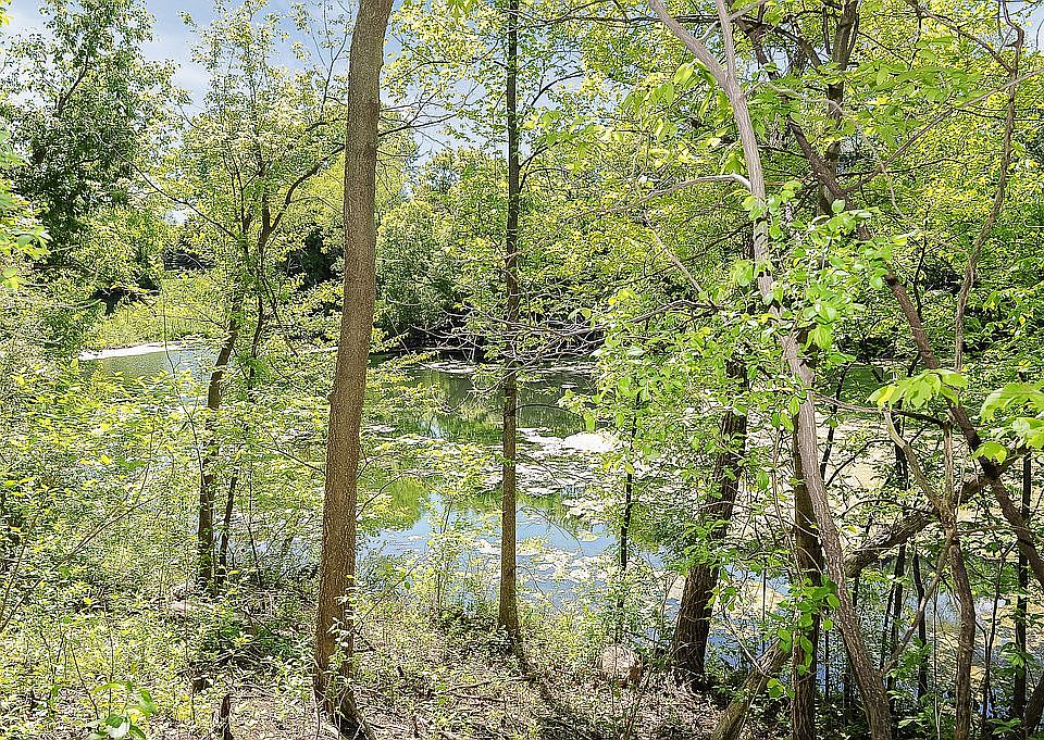 2nd image of 4171 Starbridge Ct