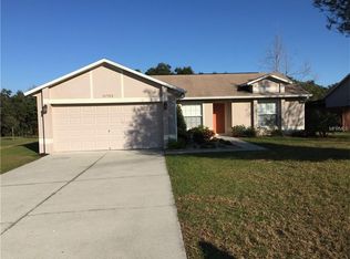 11732 Chapelle Ct, Clermont, FL 34711