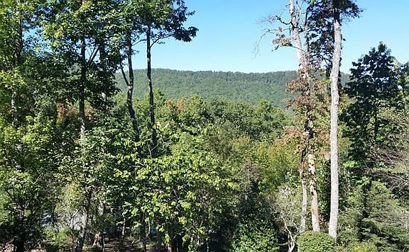 4th image of 1538 Country View Way
