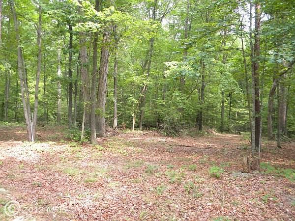 2nd image of 2377 New Bridge Rd