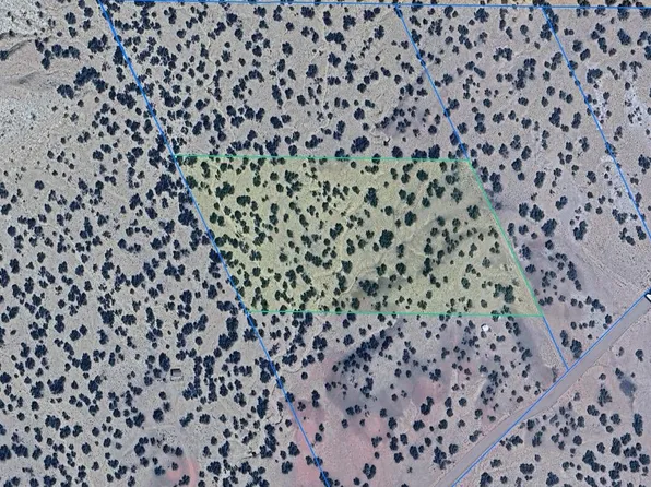 TBD 7 Acres Woodland Valley Ranch -- #451, St Johns, AZ 85936