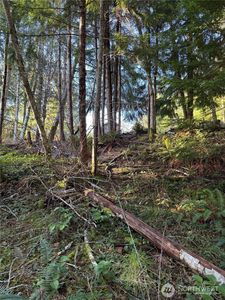 0 NE Lake Christine Road, Tahuya, WA, 98588
