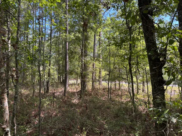 Red Oak Rd, Cottageville, SC 29435