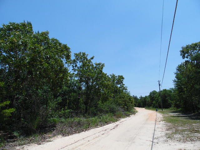 2nd image of 12 W Bach Dr