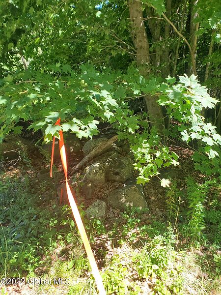 5th image of L30 Barkersville Road