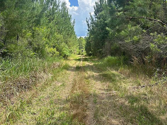 5th image of 0 Highway 31