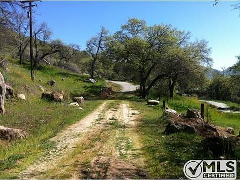 43249 Darsey Ln photo 1
