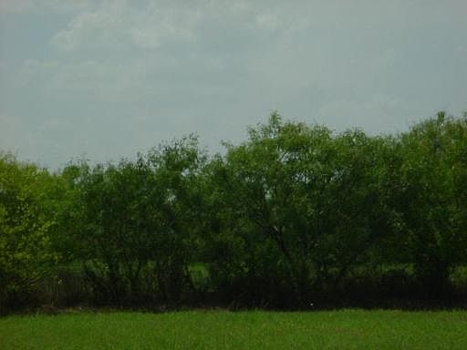 5th image of 910 W VILLARET BLVD