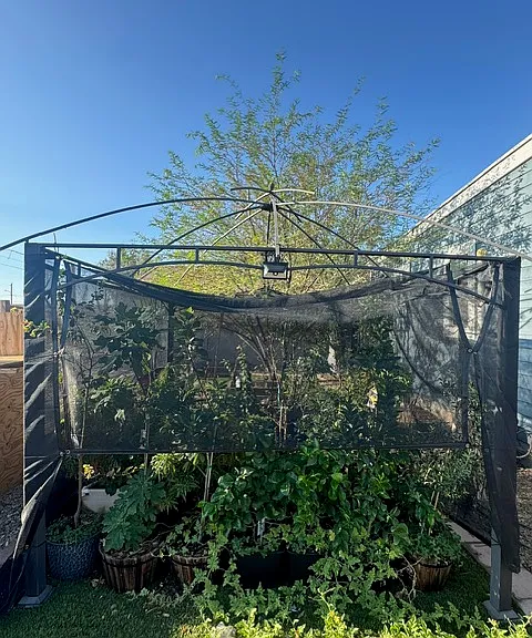 1229 S 13th Ave #3 — Photo 6
