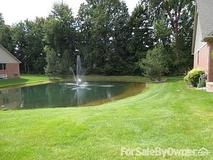 Pond