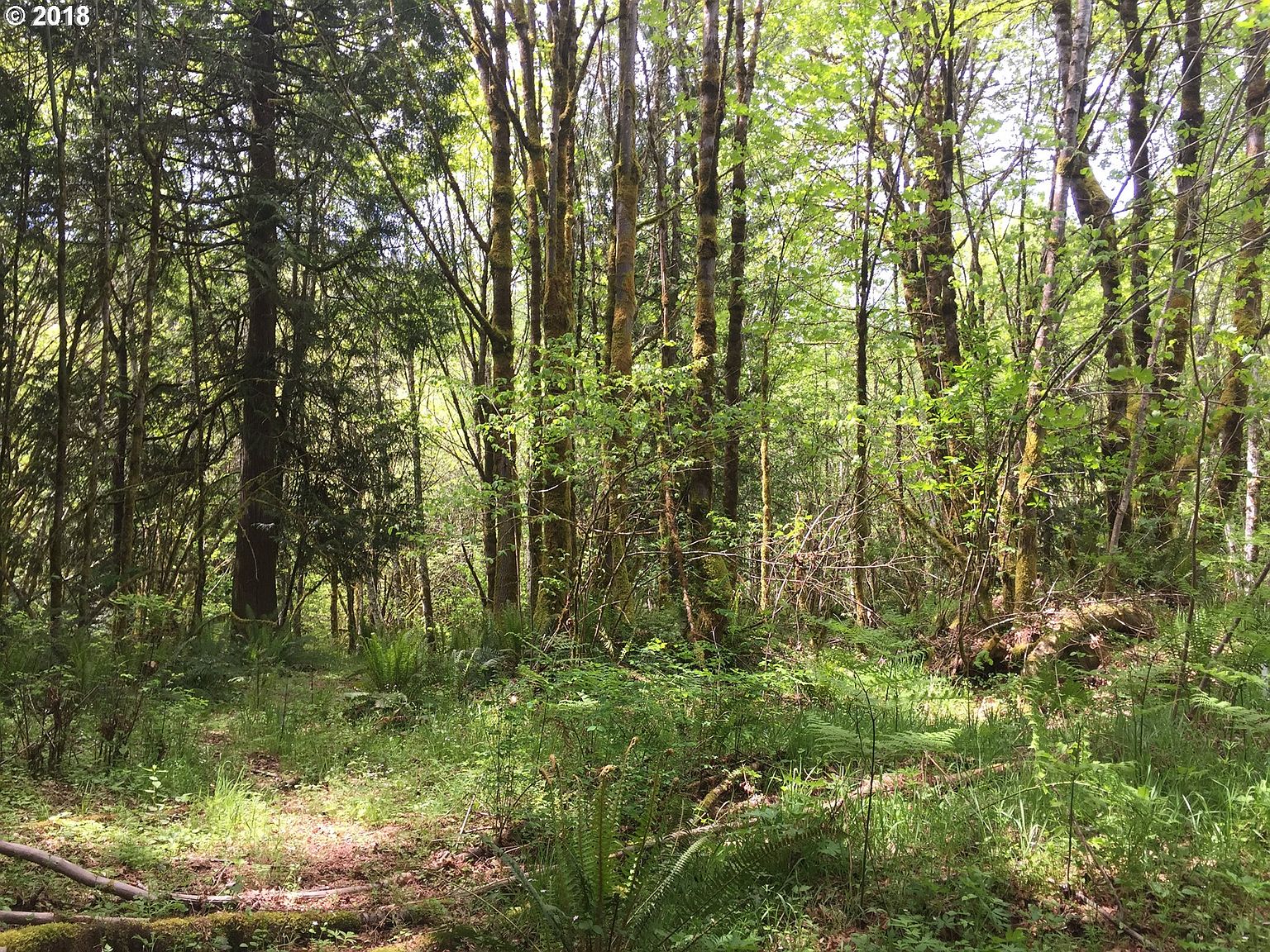 17 Tara Ln, Vader, WA 98593 Zillow