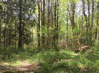 17 Tara Ln, Vader, WA 98593