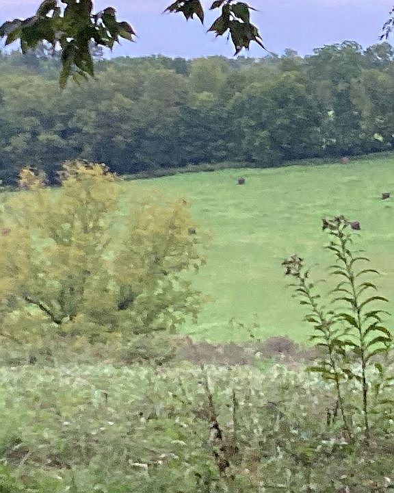 1st image of 1146 State Highway 1842 N