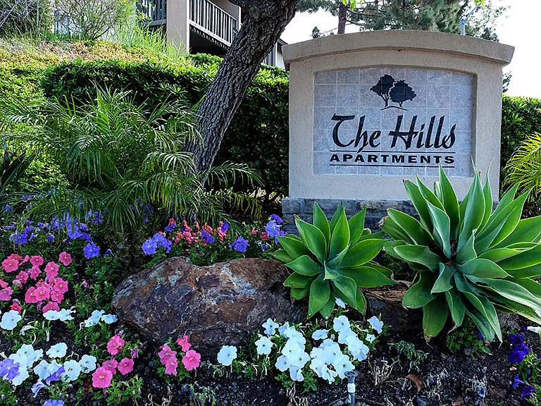 The Hills — Photo 9