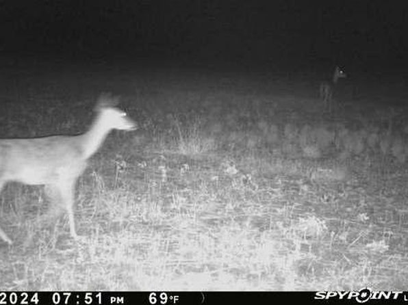 Brushline Rd, Edinburg, TX 78542