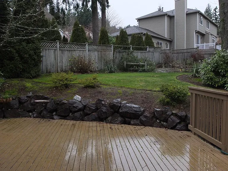 Left side of backyard