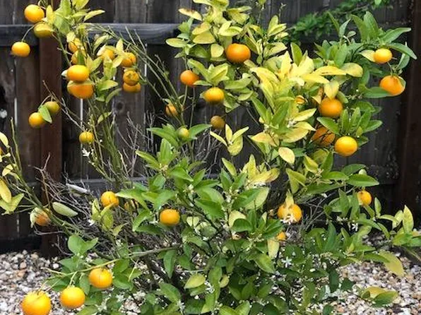 141 Fairmont Ave #141, Vallejo, CA 94590