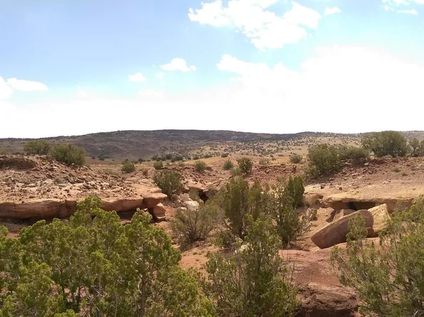 County Road 212 #11-013A, Concho, AZ 85924