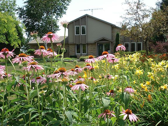 View from the perennial garden