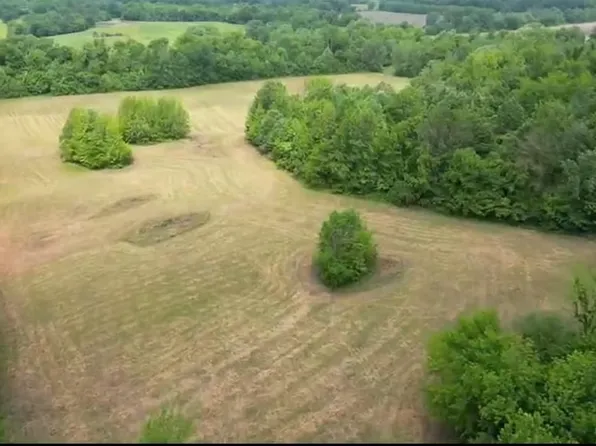 357 Chisholm Lake Rd, Ripley, TN 38063