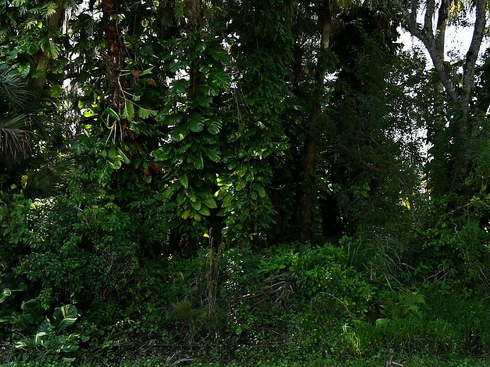 1st image of 7803 Citrus Park Boulevard