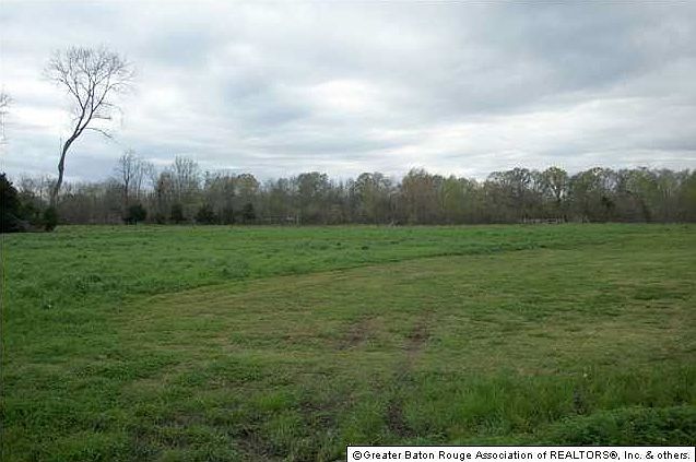1st image of Brady Ln