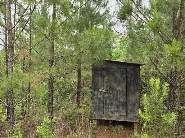 189 County Road 2337, Bay Springs, MS 39422