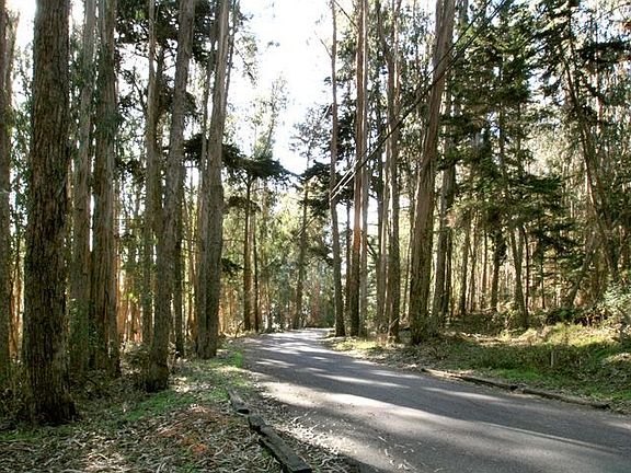 Enchanting walk to the beach