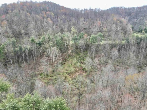 Cowskin Fork Rd, Duck, WV 25063