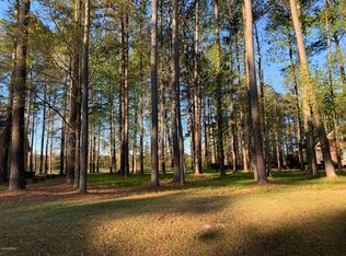 LOT 92 Cypress Landing Trl, Chocowinity, NC 27817