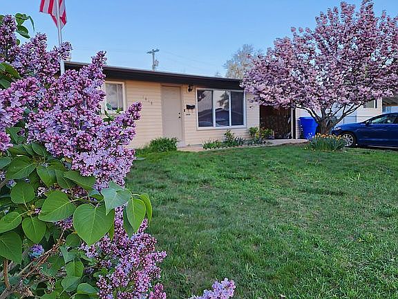 Front View in spring