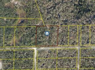 Rose Bloom Ave LOT 3, Webster, FL 33597