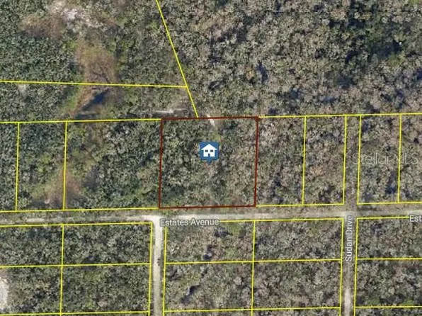 Rose Bloom Ave Lot 3, Webster, FL 33597
