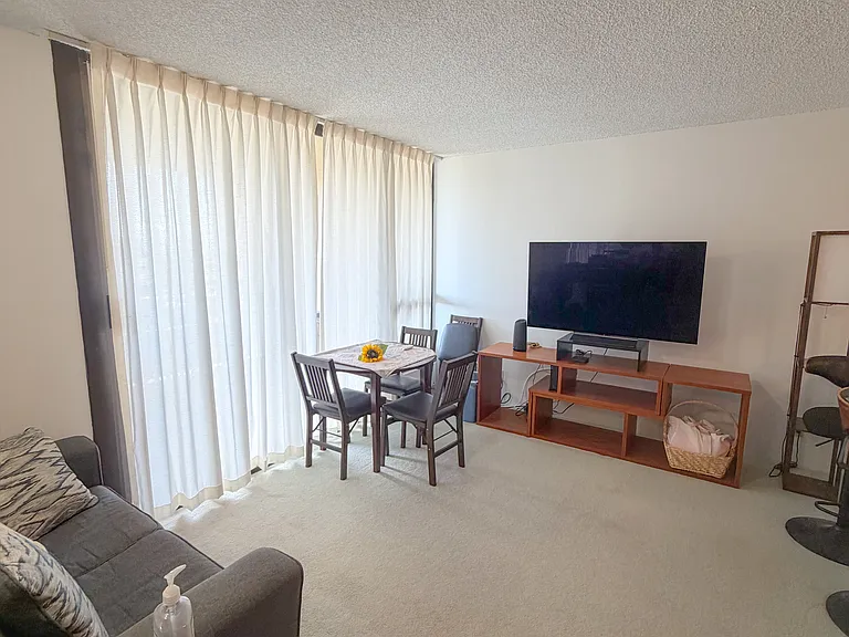 55 S Judd St #1904 — Photo 11