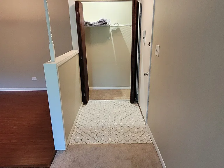 Closet in living room