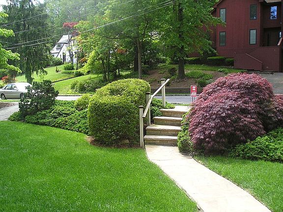 Front Yard