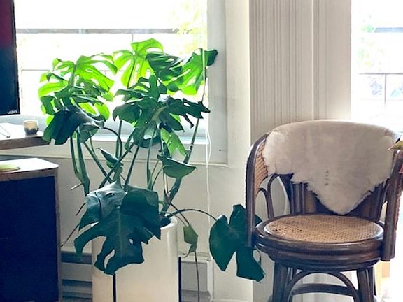 New Unit Photo
