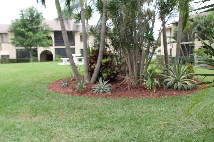 Garden view court yard