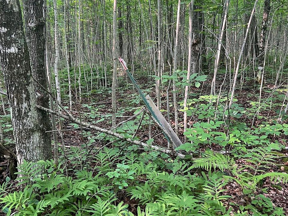 4357 Popple Ln, Long Lake, WI 54542 Zillow