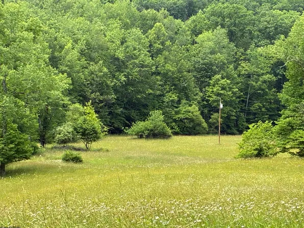 1168 Heaston Ridge Rd, Crawford, WV 26343