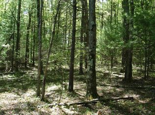 Williamson Rd, Greenwood, NY 14839