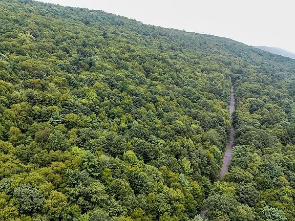 5th image of Mountain Rd