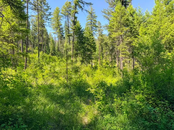 2008 Summit Valley Rd, Addy, WA 99101