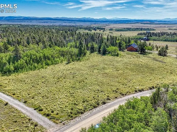 20 Vine Rd, Fairplay, CO 80440