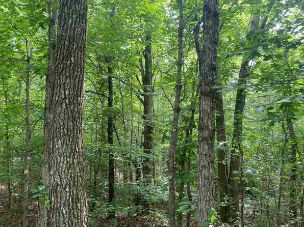 0 Rose Hill Rd, Bethel Springs, TN 38315
