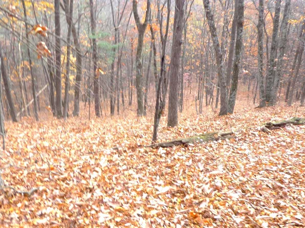 LOT 5 Black Hollow Rd, Three Springs, PA 17264