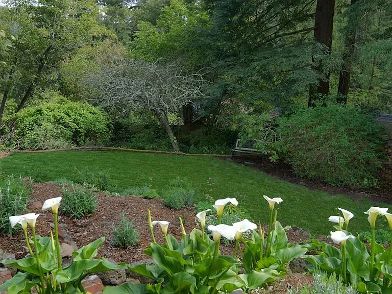 77 Marguerite Ave — Photo 15