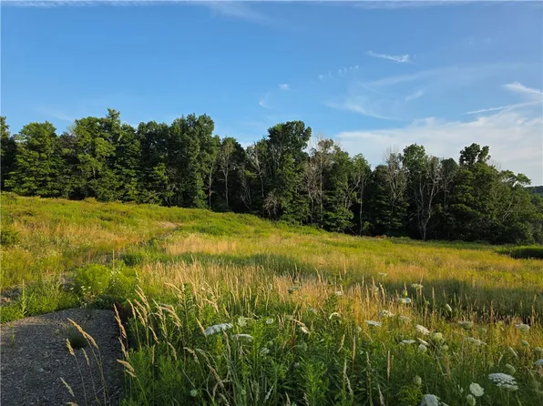 652 Ideuma Rd Lot 3, Unadilla, NY 13849